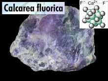 《靈丹妙藥的同類療法》- EP86 - 氟化鈣 Calcarea Fluorica