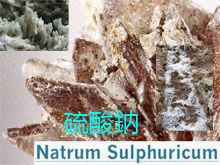 《靈丹妙藥的同類療法》- EP143 - 硫酸鈉 Natrum Sulphuricum