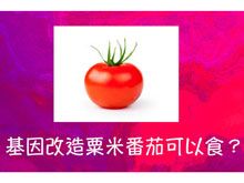 《生食食出新生》- EP236 - 基因改造粟米番茄可以食？