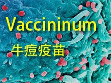 《靈丹妙藥的同類療法》- EP203 - 牛痘疫苗 Vaccininum