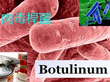 《靈丹妙藥的同類療法》- EP106 - 肉毒桿菌 Botulinum