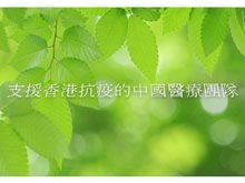 《自然療法與你》- Special - 支援香港抗疫的中國醫療團隊